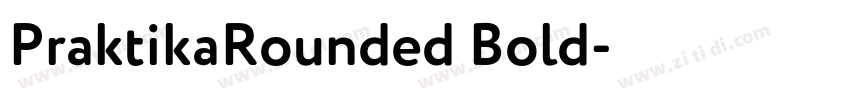 PraktikaRounded Bold字体转换